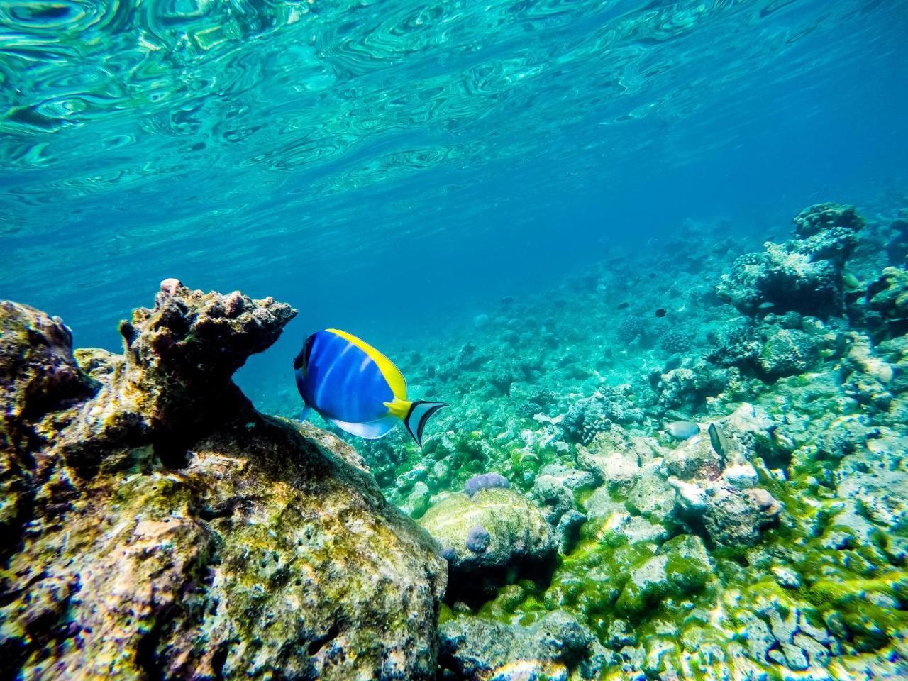 Old Town Inn Maldives Gaafaru Ngoại thất bức ảnh