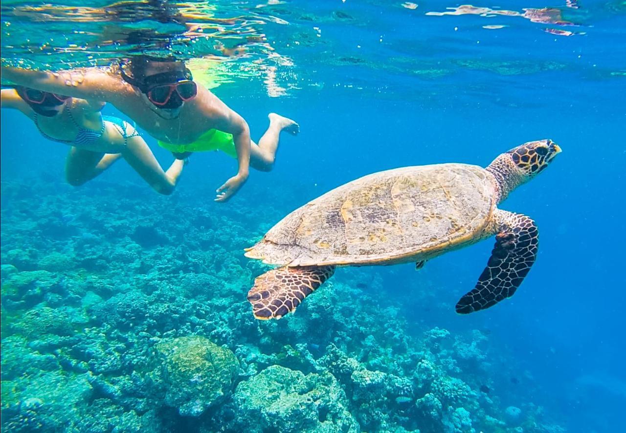 Old Town Inn Maldives Gaafaru Ngoại thất bức ảnh