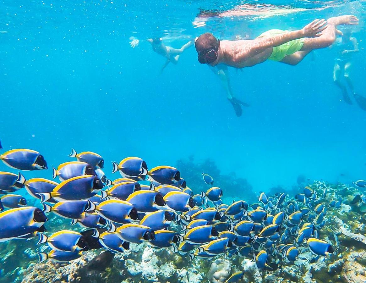 Old Town Inn Maldives Gaafaru Ngoại thất bức ảnh
